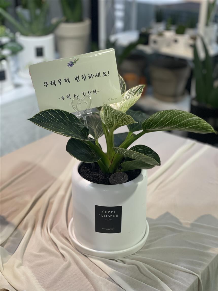 배송사진