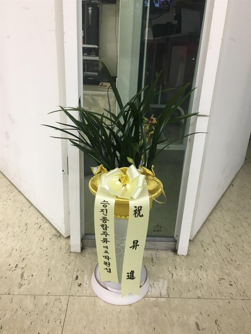 배송사진