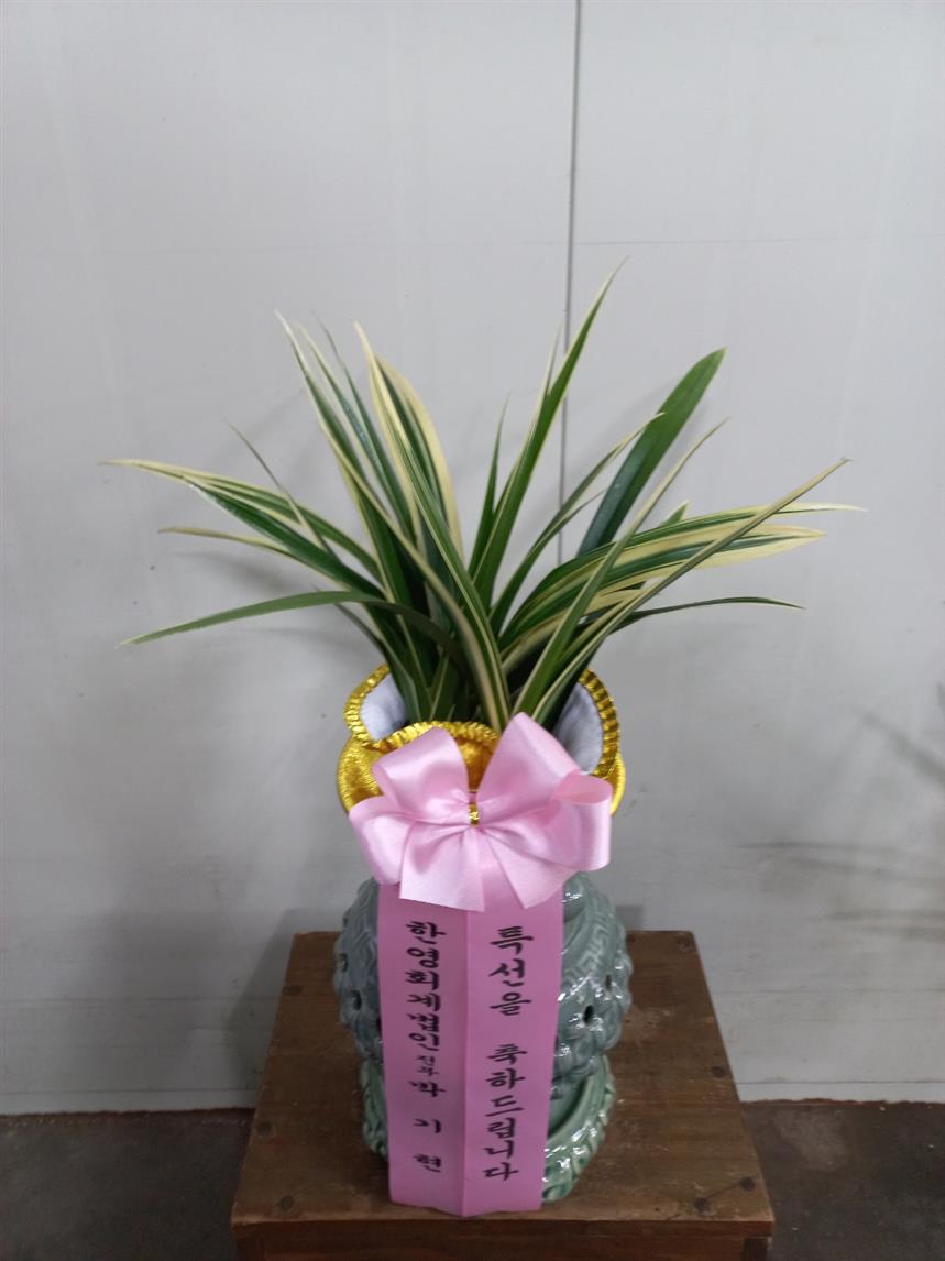 배송사진