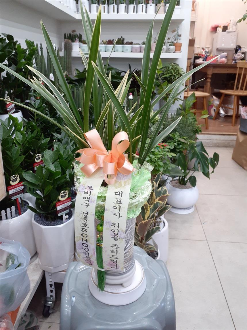 배송사진