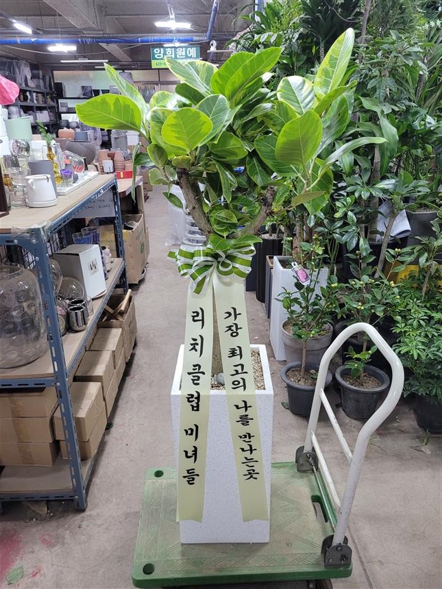 배송사진