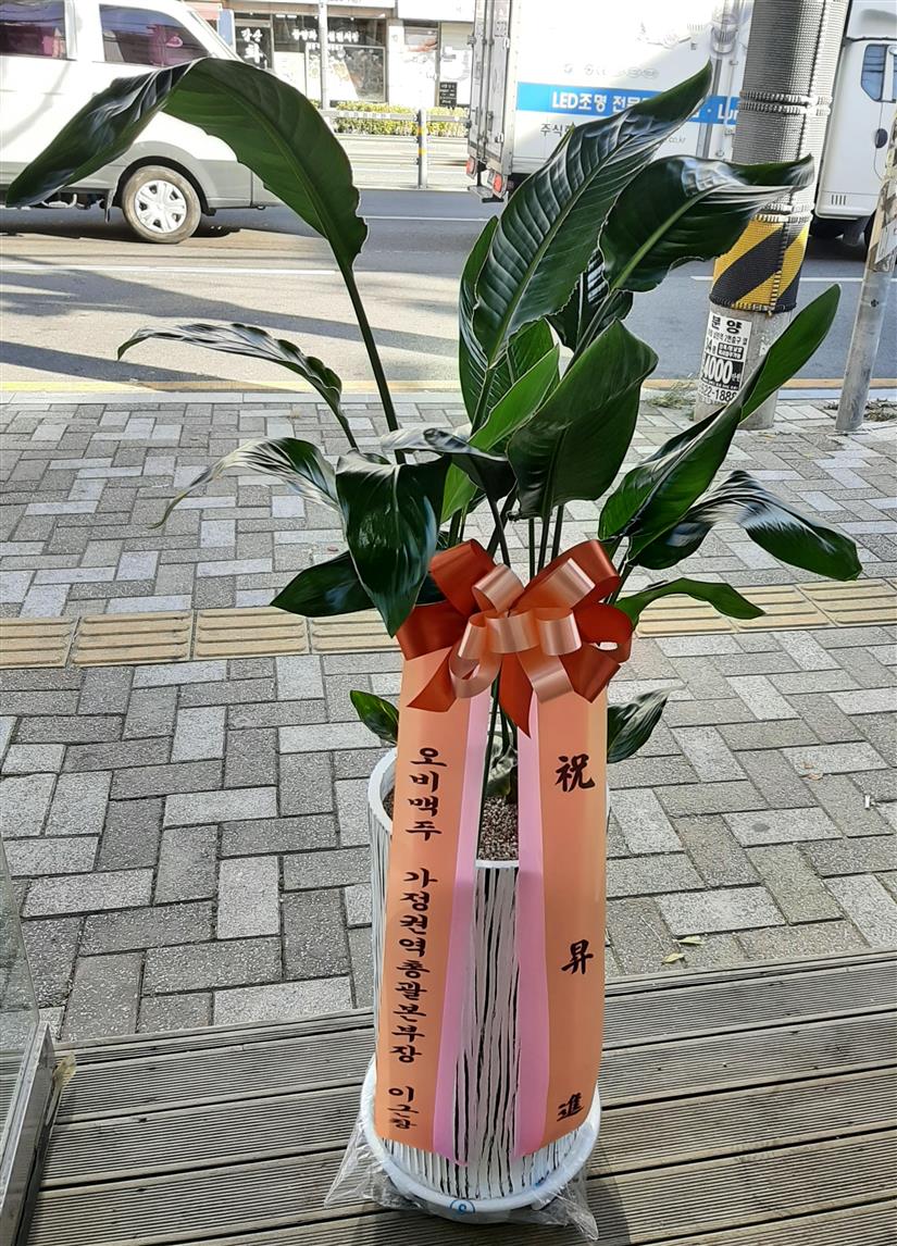 배송사진
