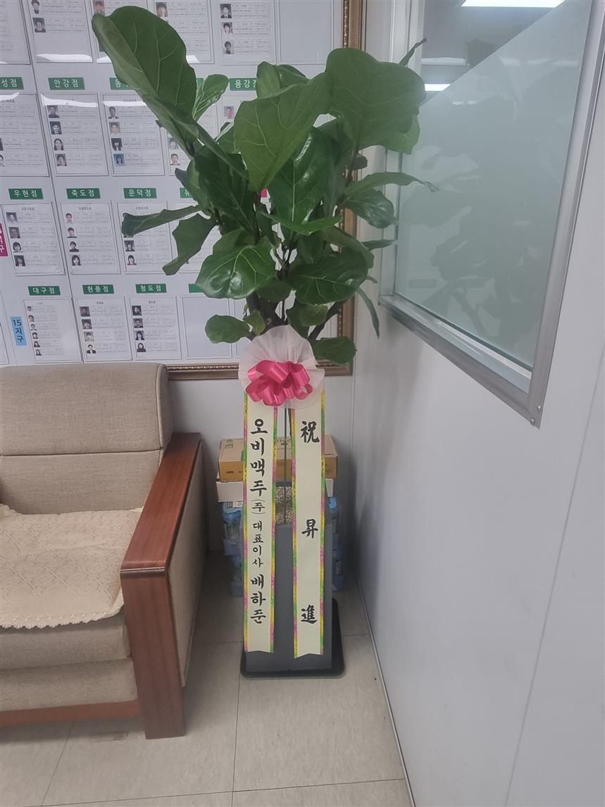 배송사진