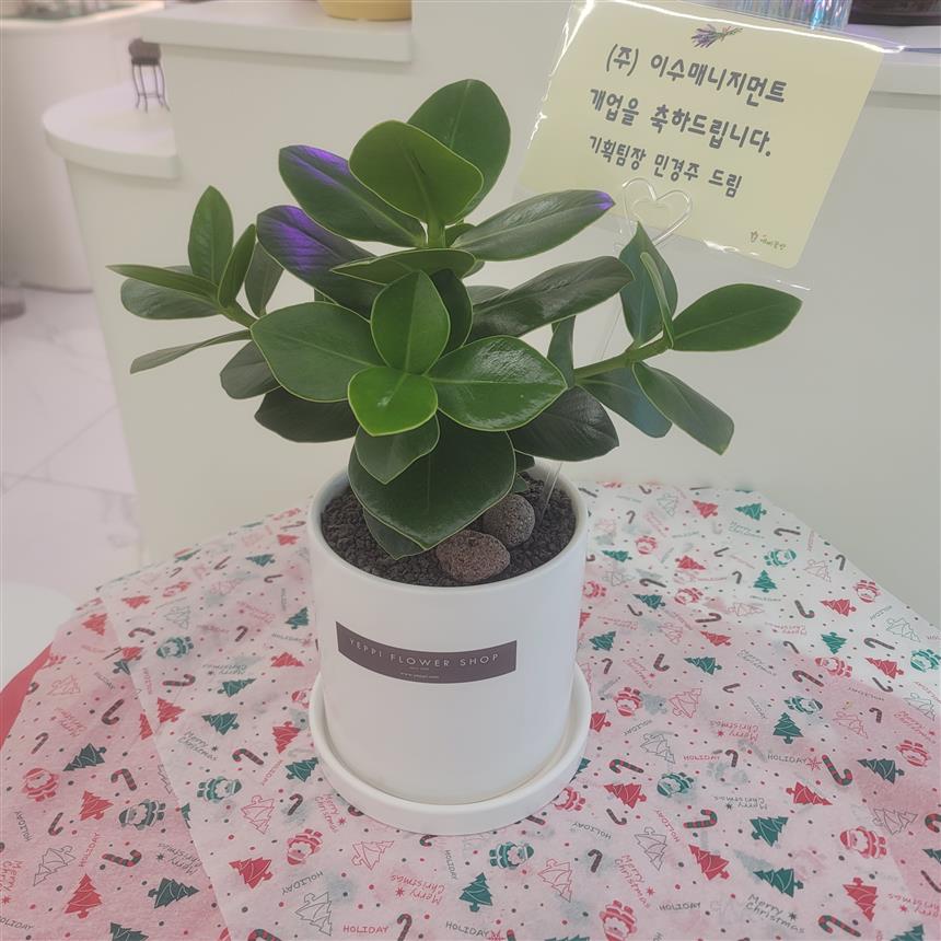 배송사진