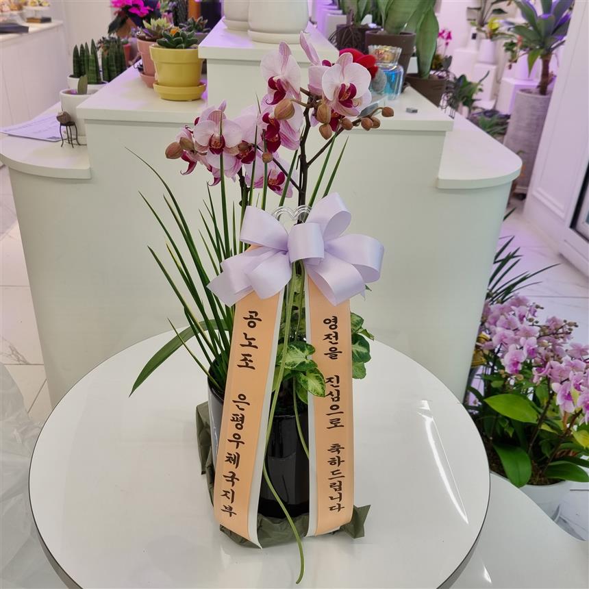 배송사진