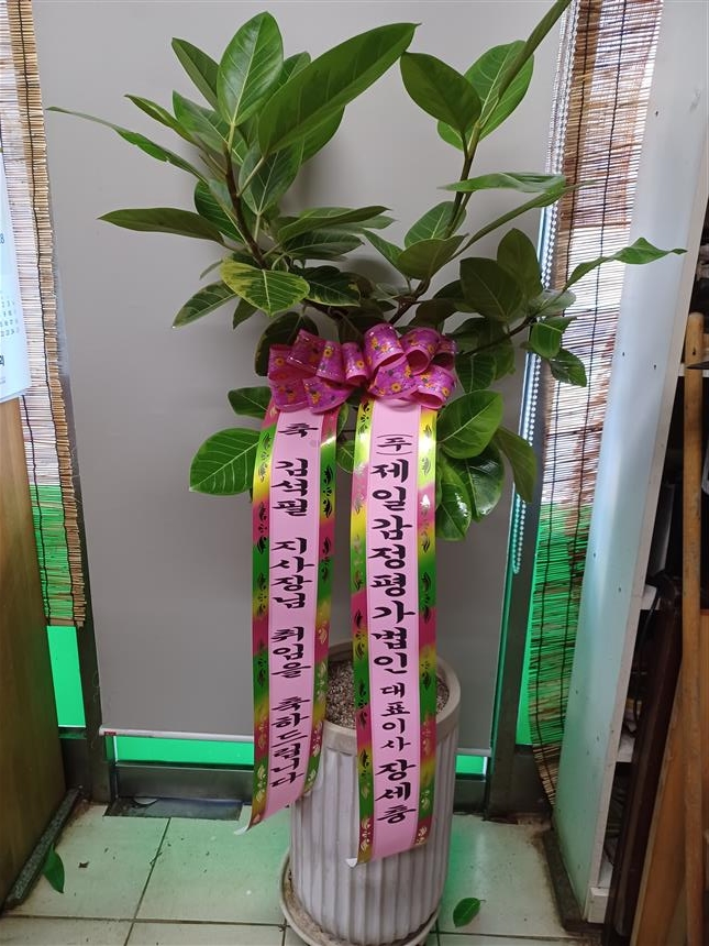 배송사진