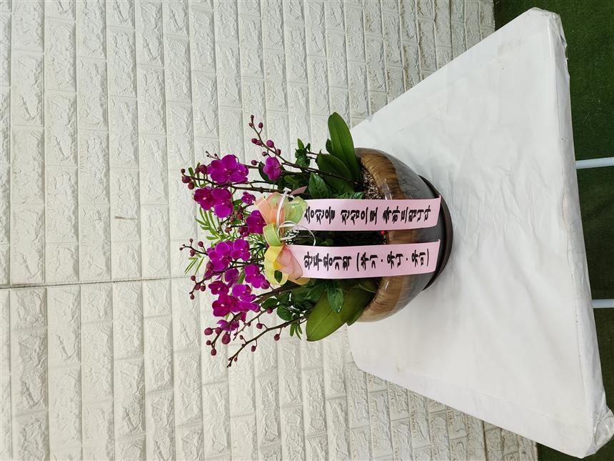배송사진