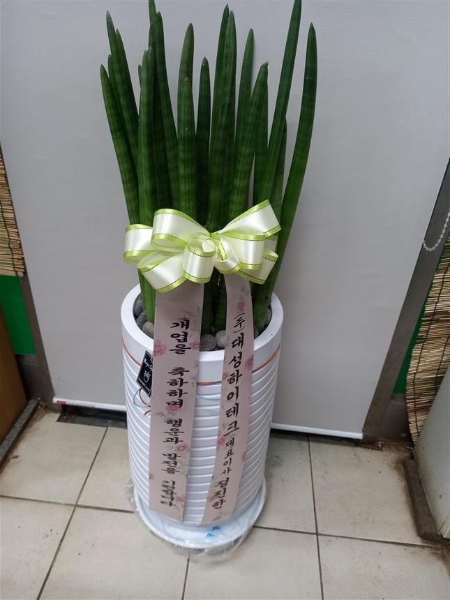 배송사진