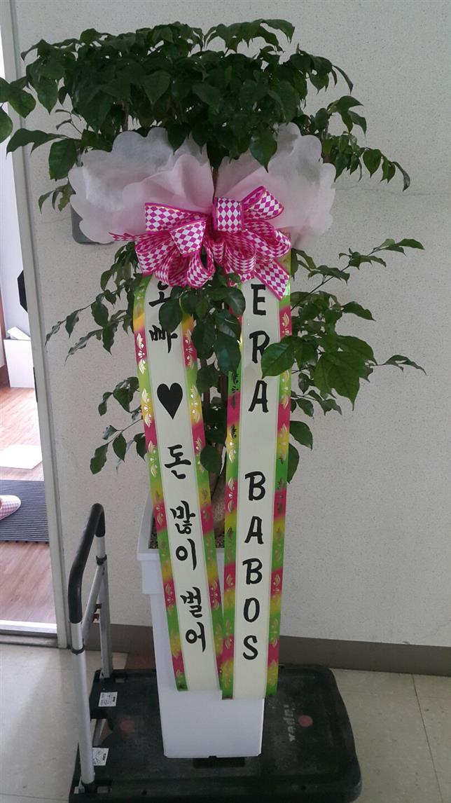 배송사진