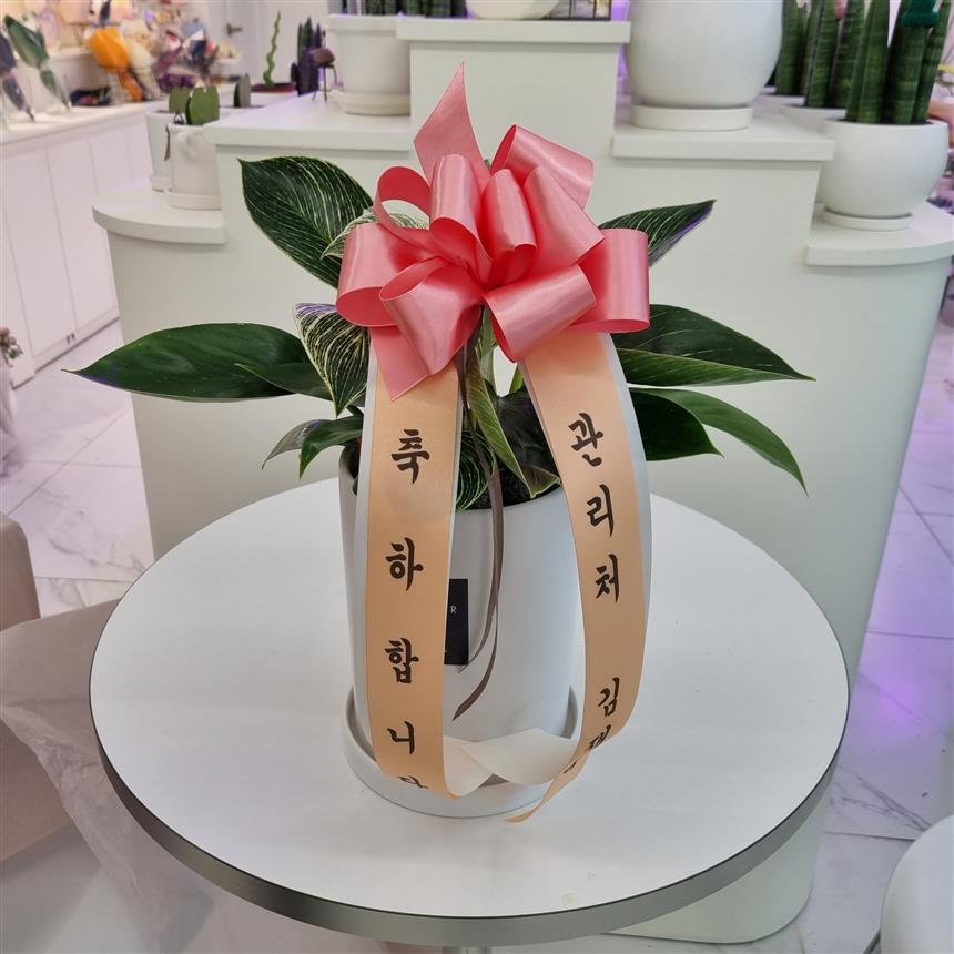 배송사진