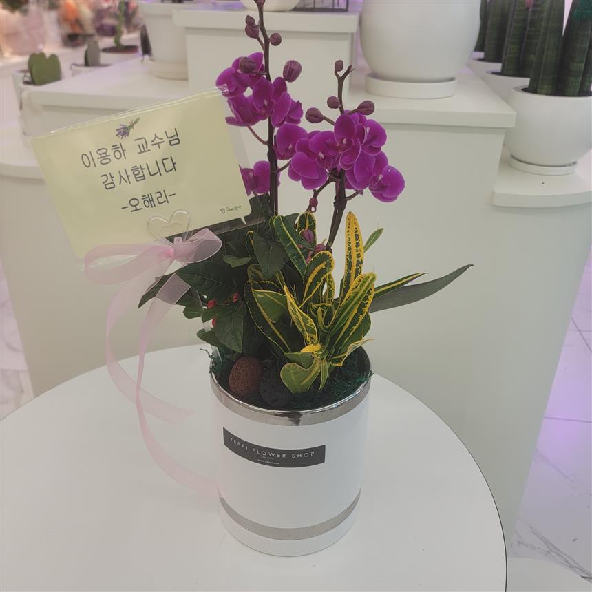 배송사진