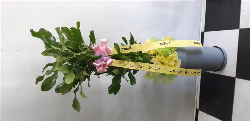 배송사진