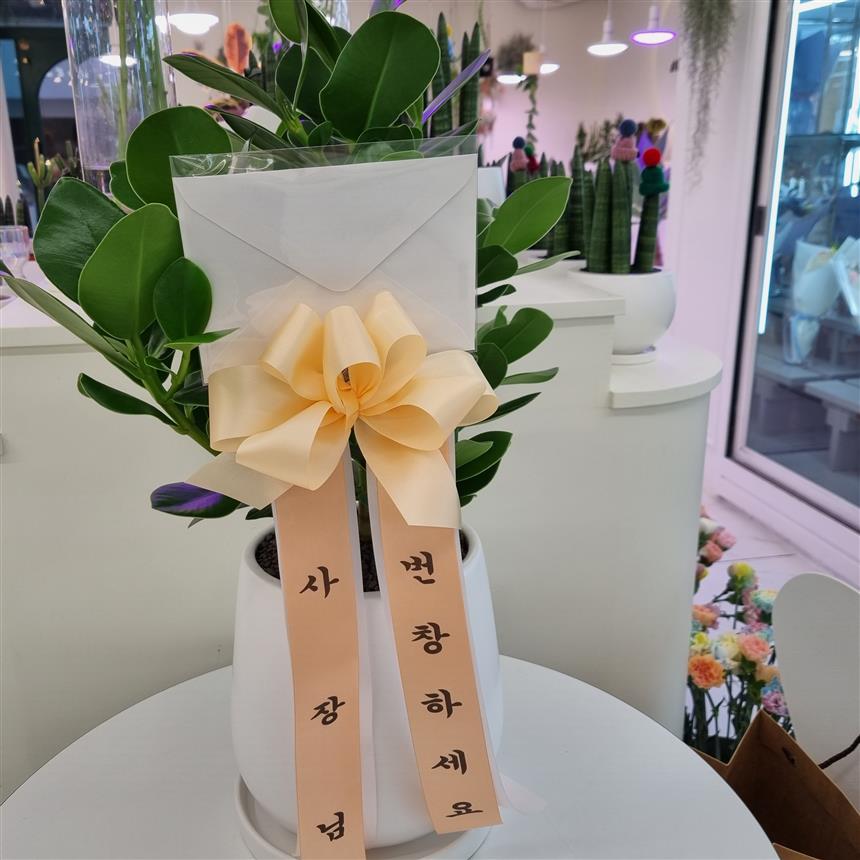 배송사진