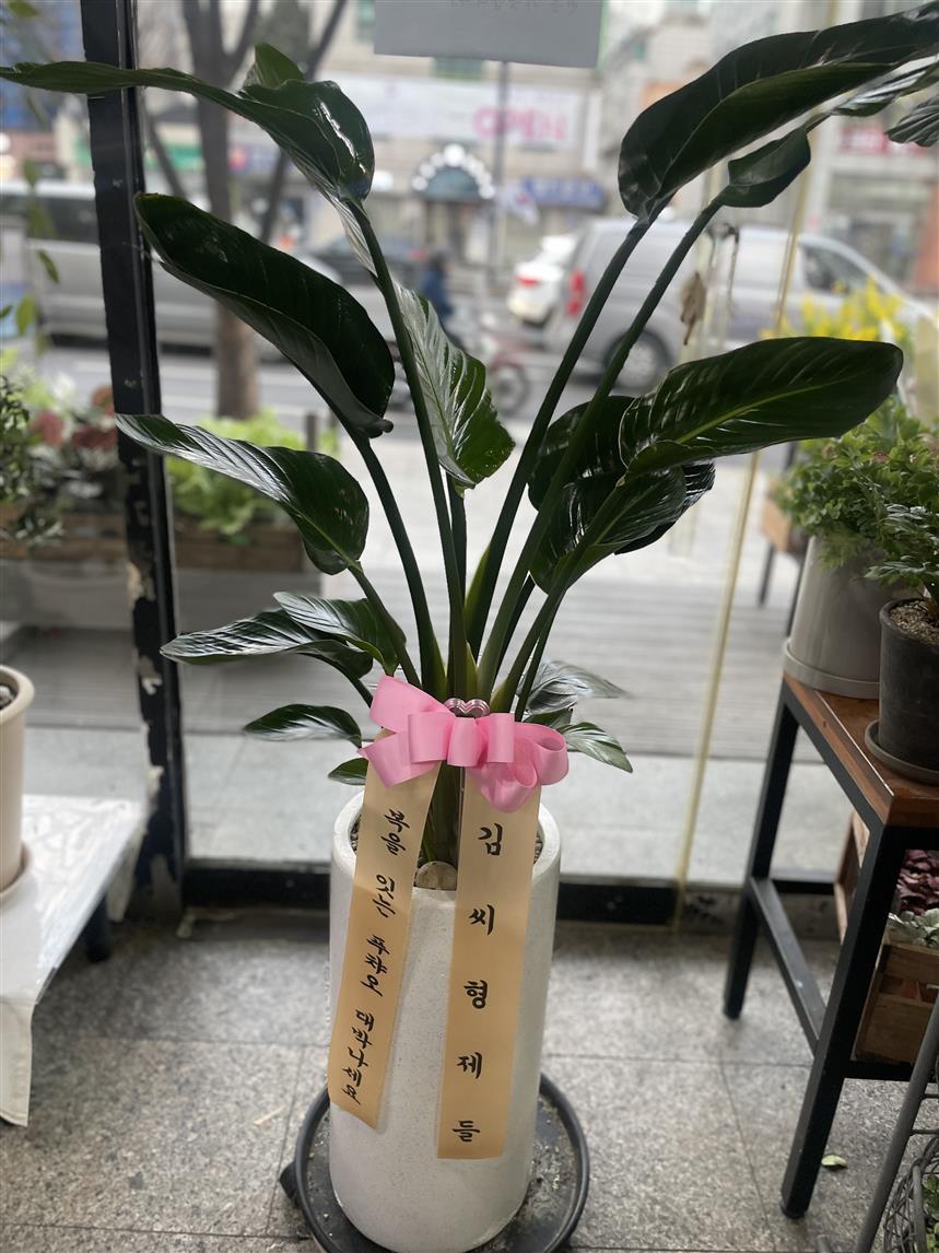 배송사진