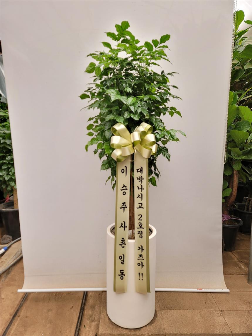 배송사진