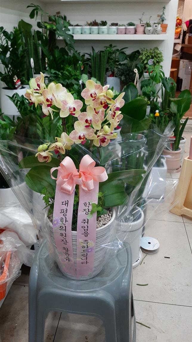 배송사진