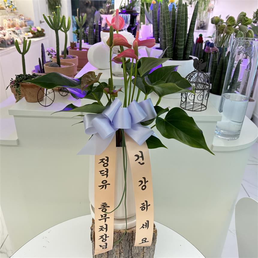 배송사진