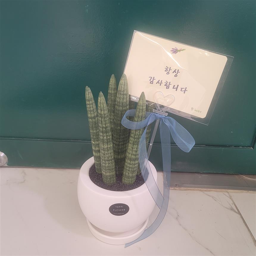 배송사진