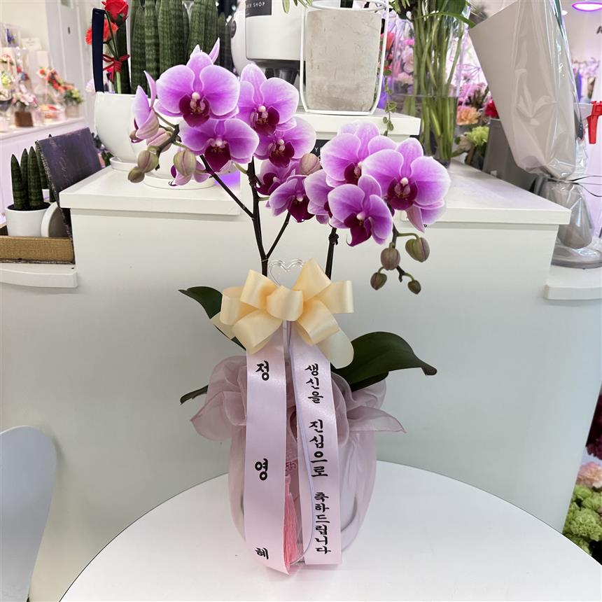 배송사진