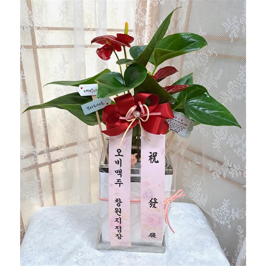 배송사진