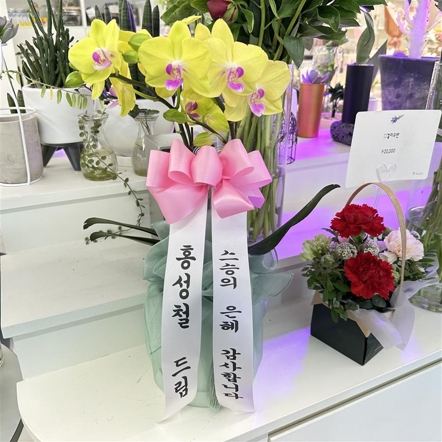배송사진