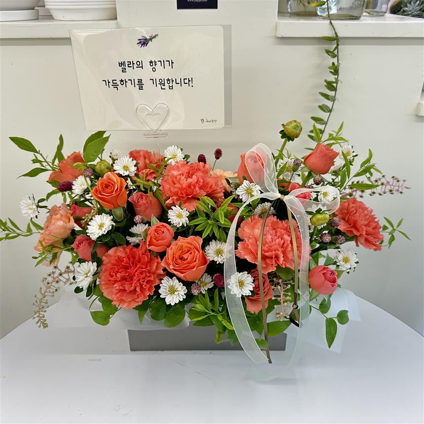배송사진