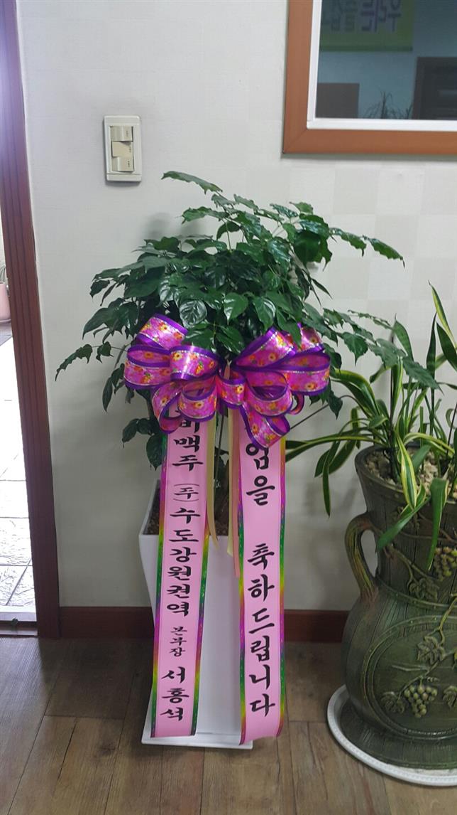배송사진