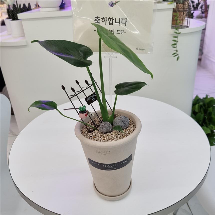 배송사진