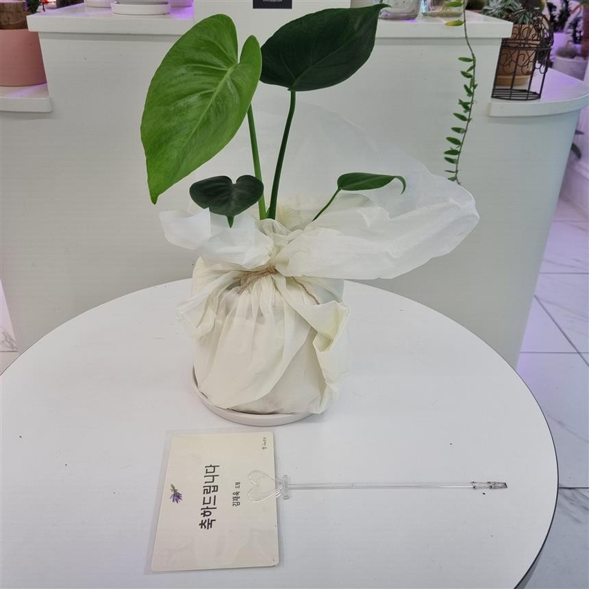 배송사진