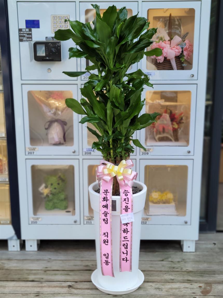 배송사진