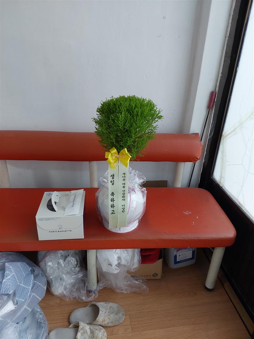배송사진