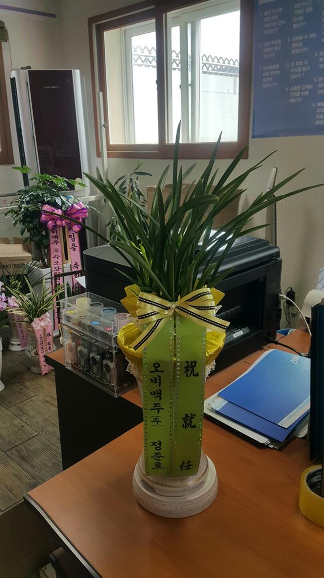 배송사진
