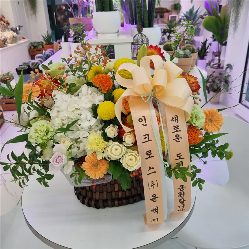 배송사진