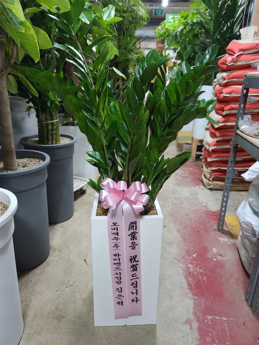 배송사진
