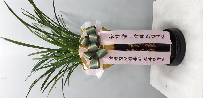 배송사진