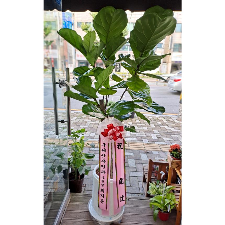 배송사진