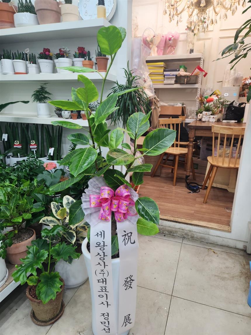 배송사진
