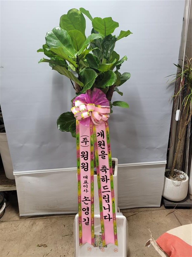 배송사진