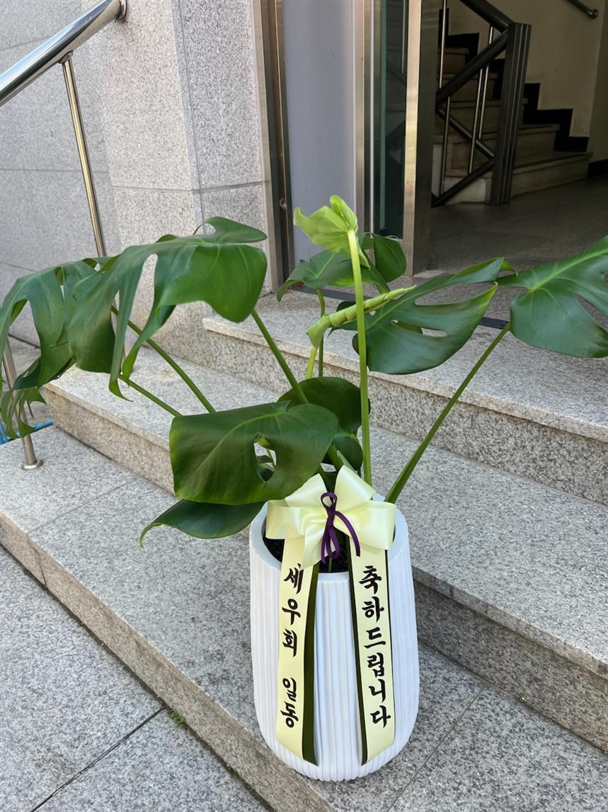 배송사진
