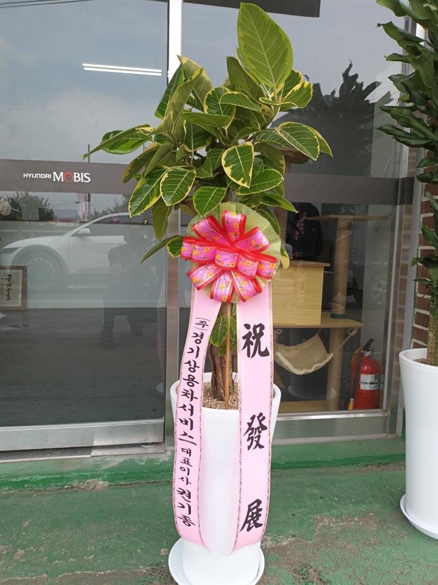배송사진