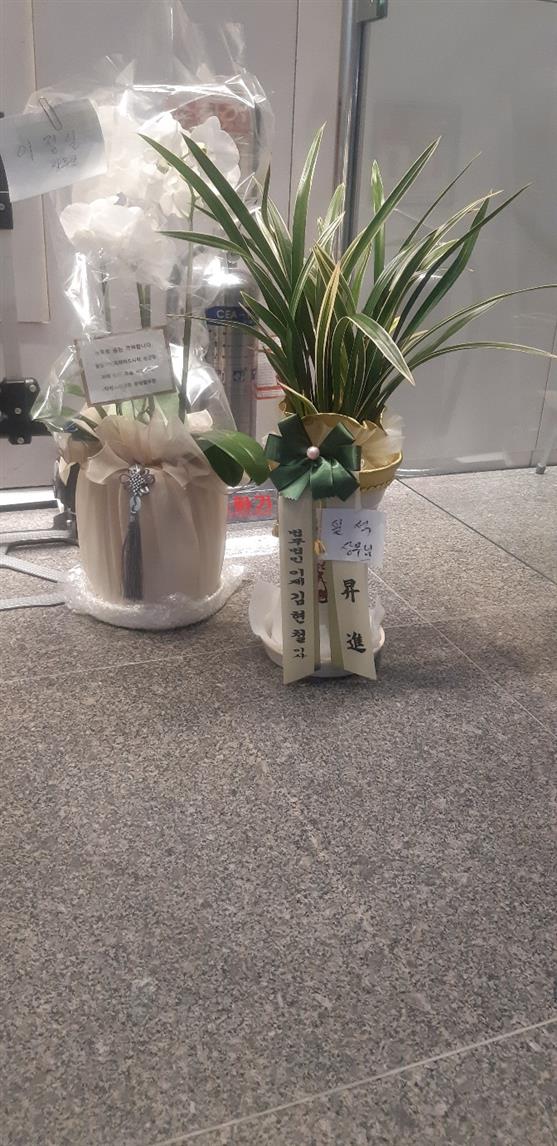 배송사진