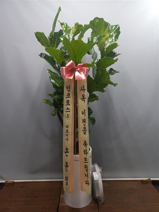 배송사진