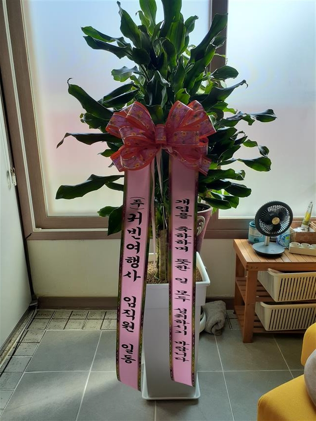 배송사진