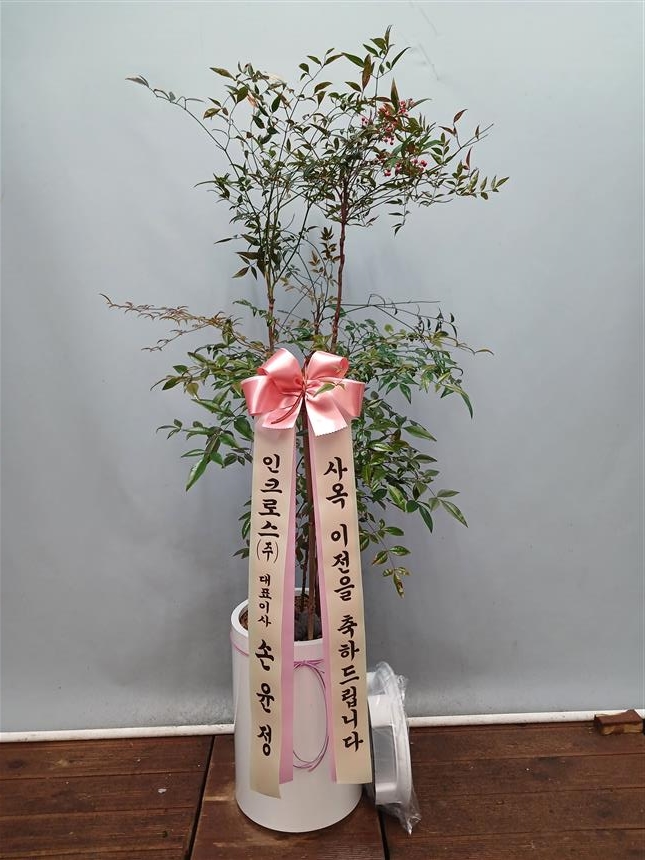 배송사진