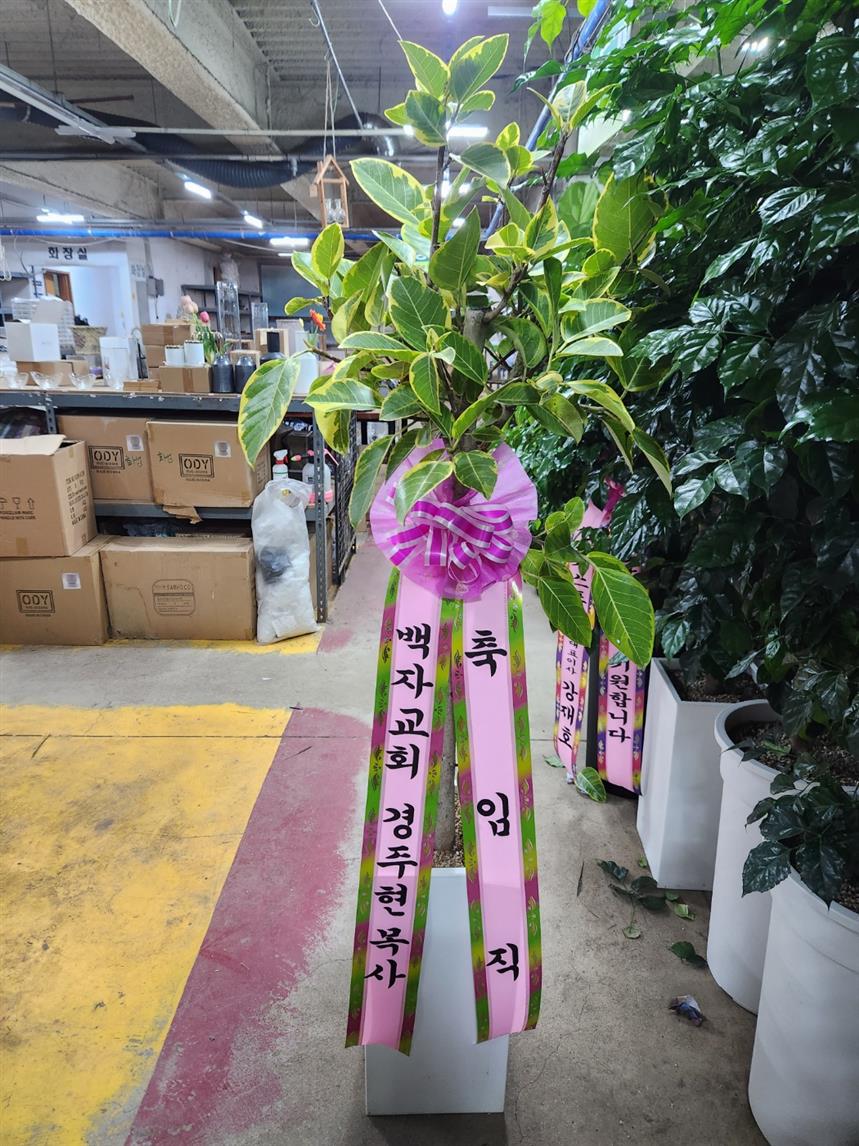 배송사진