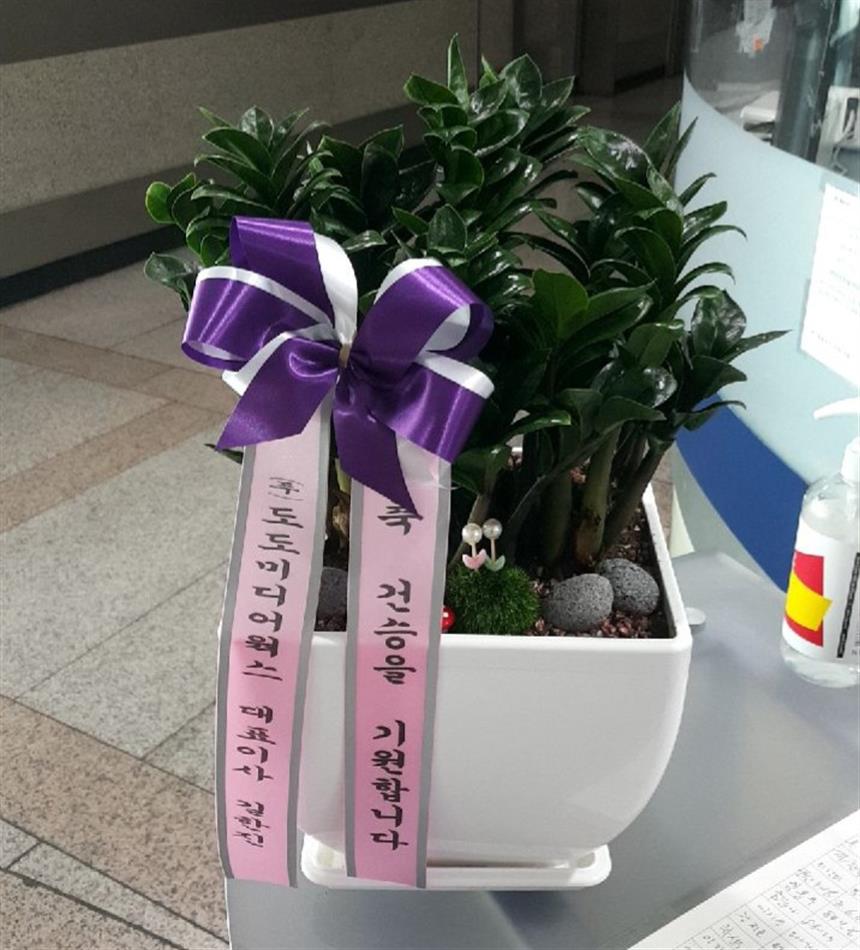 배송사진