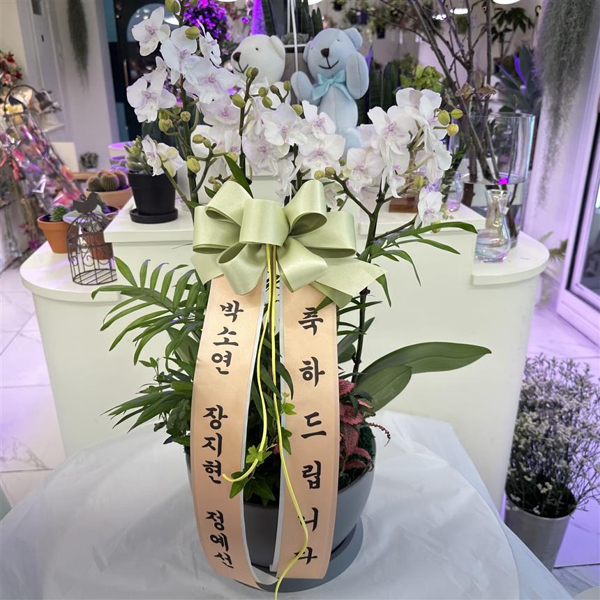배송사진