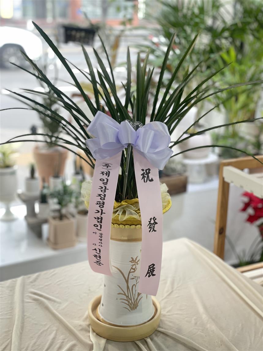 배송사진