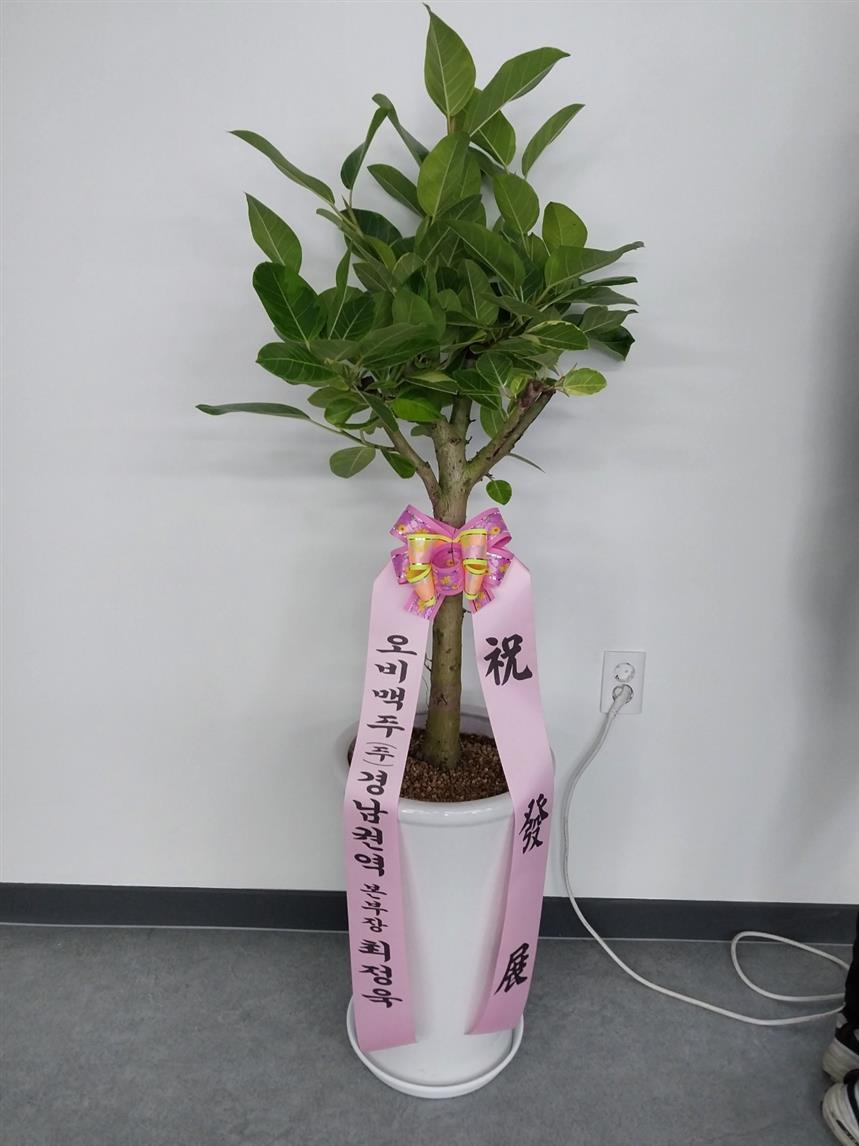 배송사진