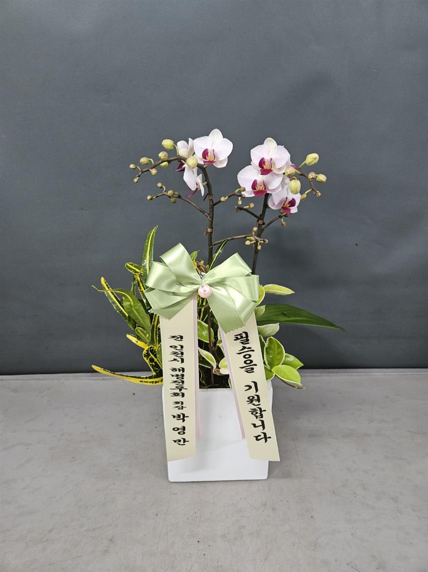 배송사진
